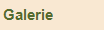 Galerie  