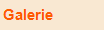Galerie  
